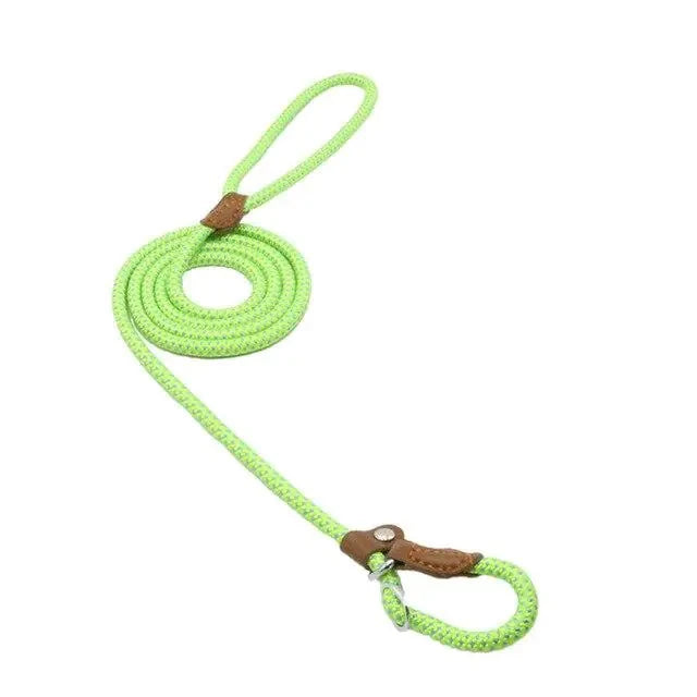 Nylon Pup Set InfiniteWags Green M 