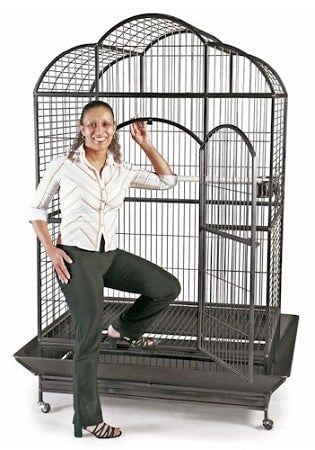 Silverado Macaw Dome Top Cage Prevue Pet Products 