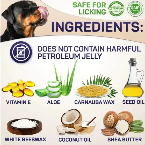 Natural Dog Paw Balm Dog InfiniteWags 