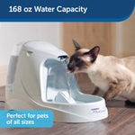 Drinkwell Platinum Pet Fountain PetSafe 