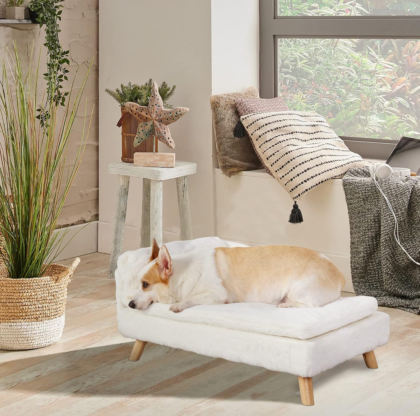Elevated Dog Bed - Nordic Pet Stool Bed with Cozy InfiniteWags 