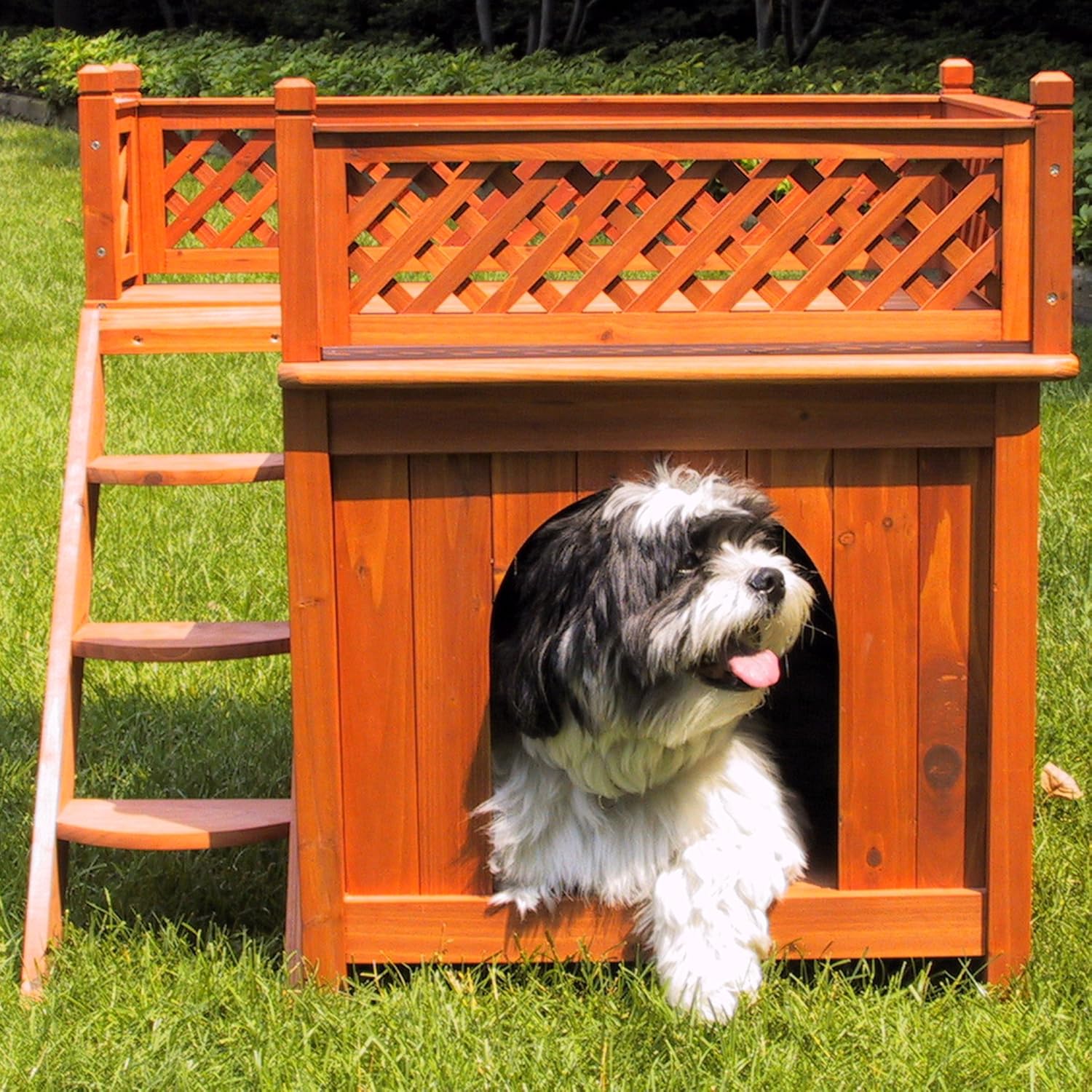 Dog Bunk Bed with Stairs - Merry Pet Wood Room with a View Pet House InfiniteWags 