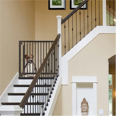 Expandable Walk Thru Pet Gate Richell 