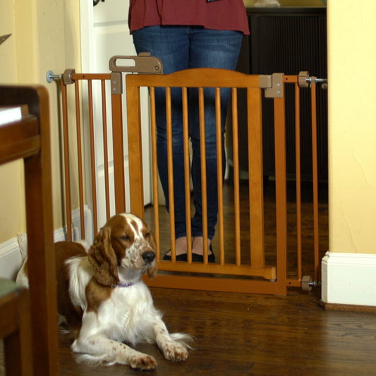 One-Touch Gate II in Brown Richell 