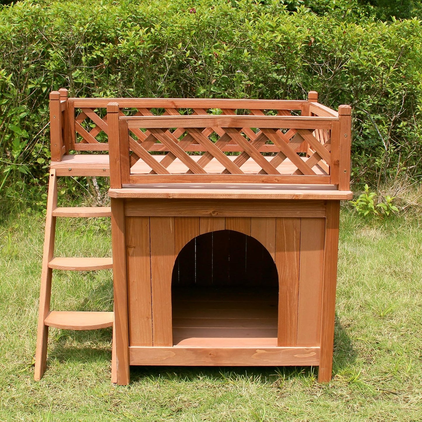 Dog Bunk Bed with Stairs - Merry Pet Wood Room with a View Pet House InfiniteWags 