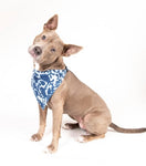 Unbugz-It Bandana Bandanas DGS Pet Products 