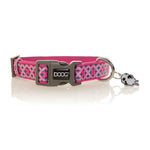 Neoprene Dog Collar Toto