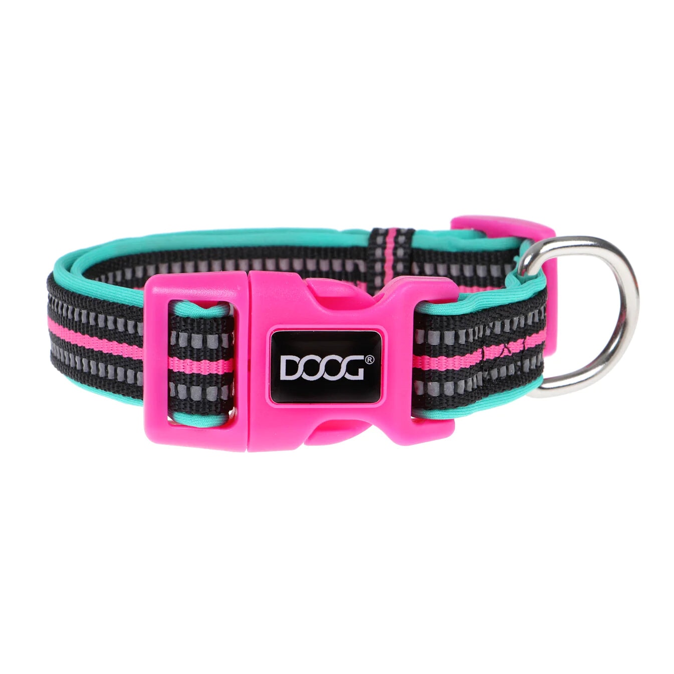 Neoprene Dog Collar Rin Tin Tin Neon Collars DOOG 