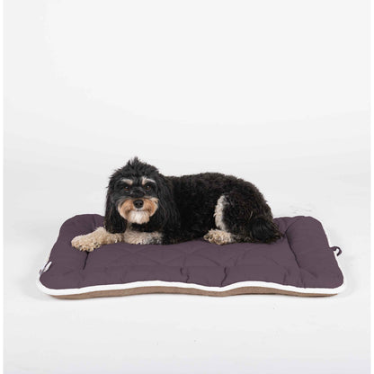 DGS Pet Products Pet Cotton Canvas Sleeper Cushion