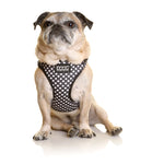 Neoflex Dog Harness Pongo