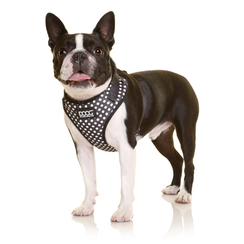 Neoflex Dog Harness Pongo