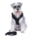 Neosport Soft Dog Harness Harnesses DOOG 