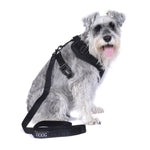 Neosport Soft Dog Harness Harnesses DOOG 