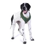 Neosport Soft Dog Harness Harnesses DOOG 