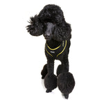 Neoflex Dog Harness Bolt Neon