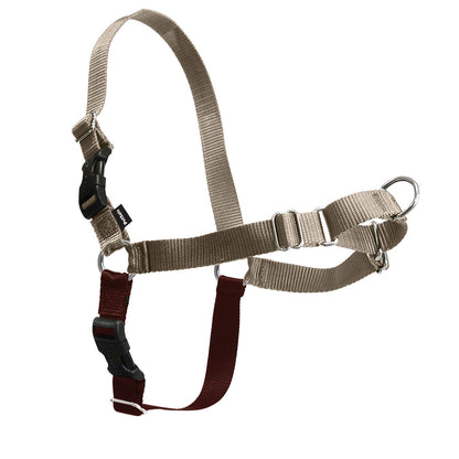 Easy Walk Harness Dog PetSafe Medium Fawn 
