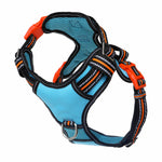 Neotech Dog Harness Beethoven