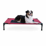 Original Pet Cot Elevated Pet Bed Cooling Beds K&H Pet Products 