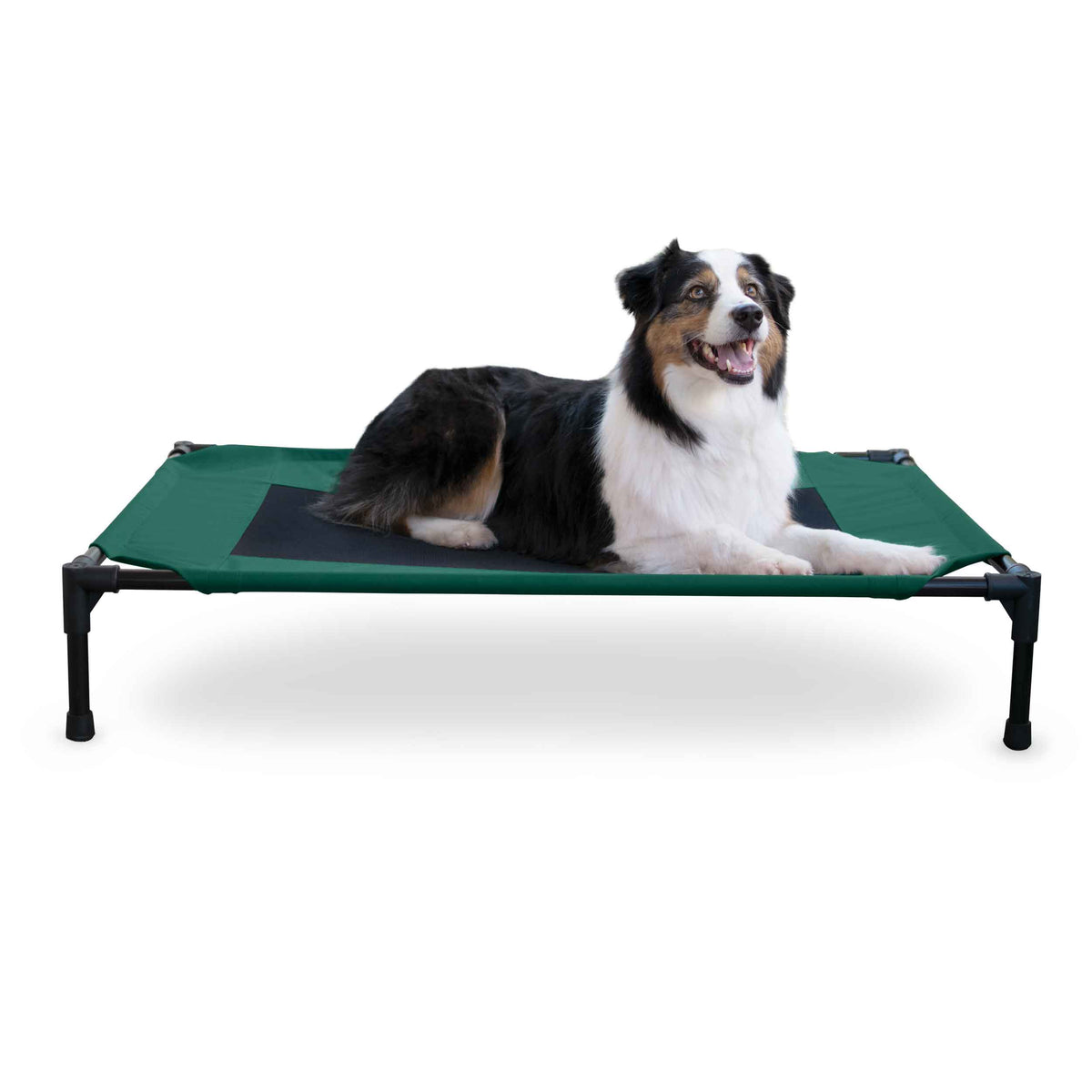 K&H Pet Products Original Pet Cot Elevated Pet Bed