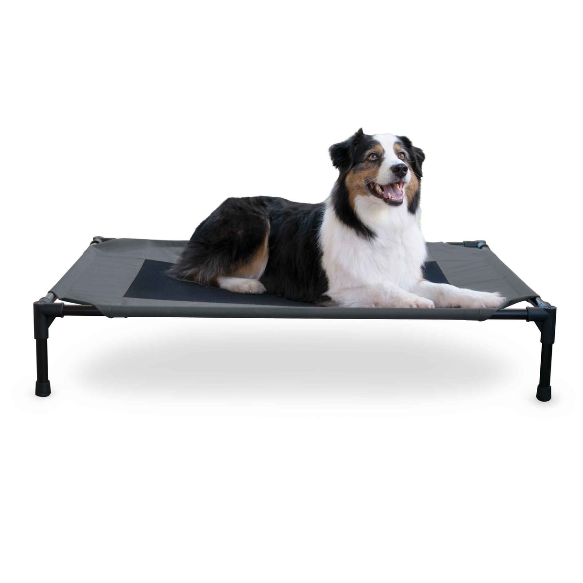 K&H Pet Products Original Pet Cot Elevated Pet Bed