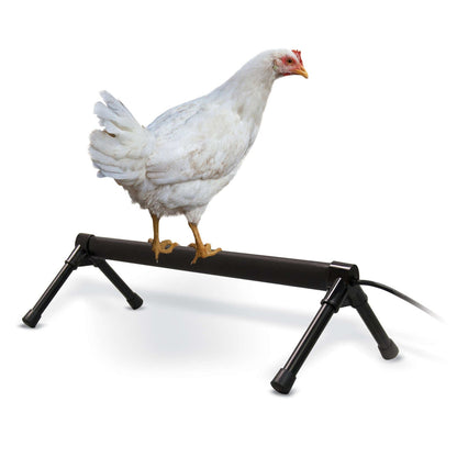 Thermo-Chicken Perch Small Animal K&H Pet Products Gray KH2111 
