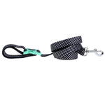 Neoprene Dog Clip It Leash Pongo DOOG 