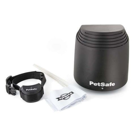 Stay + Play Wireless Dog Fence PetSafe 