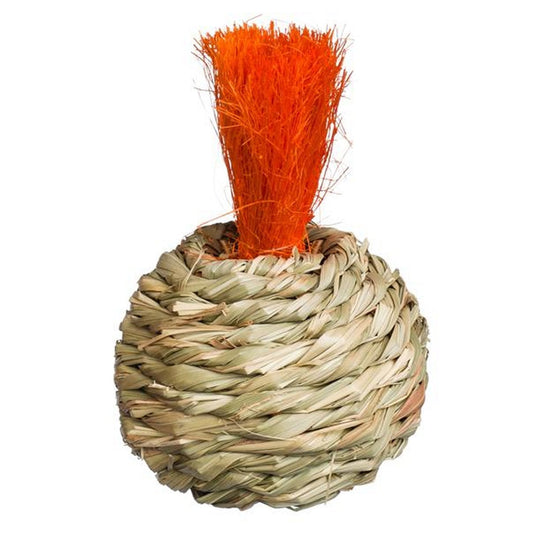 Prevue Pet Products Grassy Nibblers Squash - 1080 Prevue Pet Products 