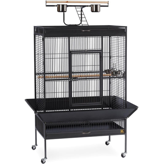 Select Wrought Iron Play Top Parrot Cage - Coco Brown Prevue Pet Products 