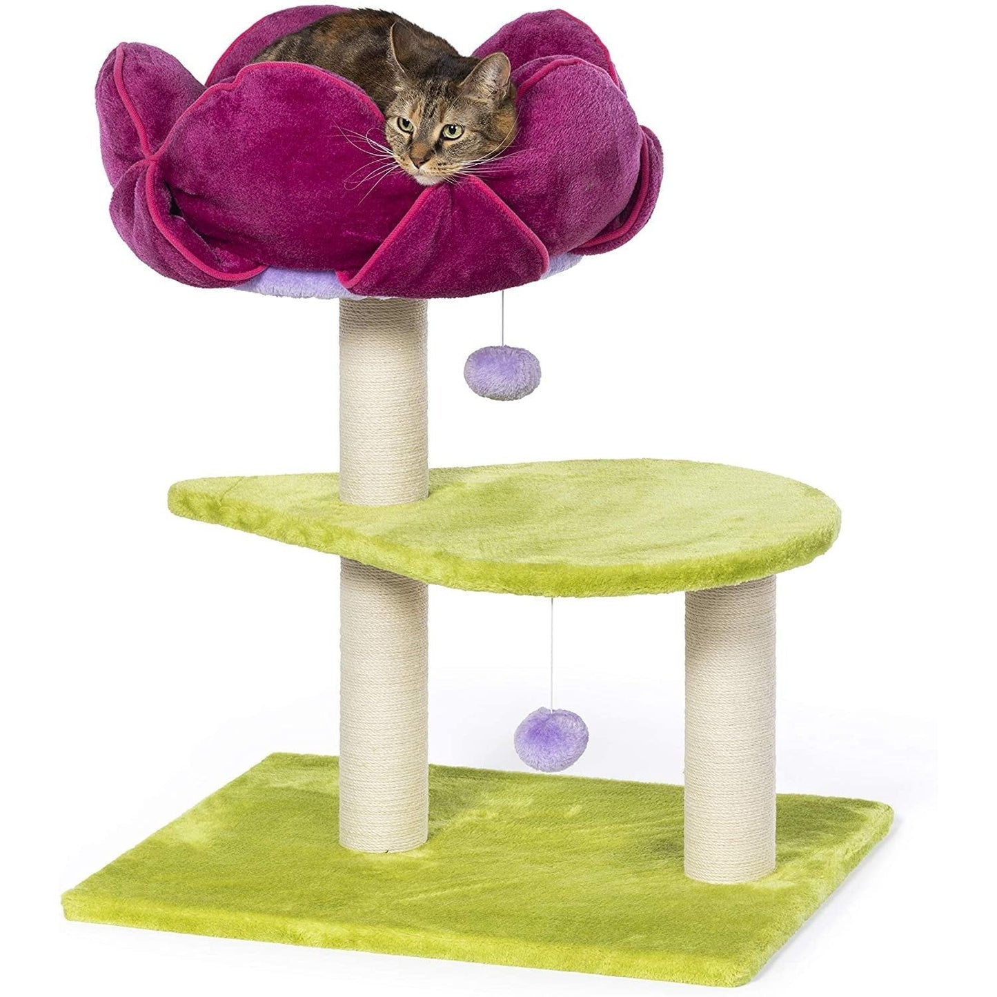 Prevue Pet Products Flower Power Prevue Pet Products 