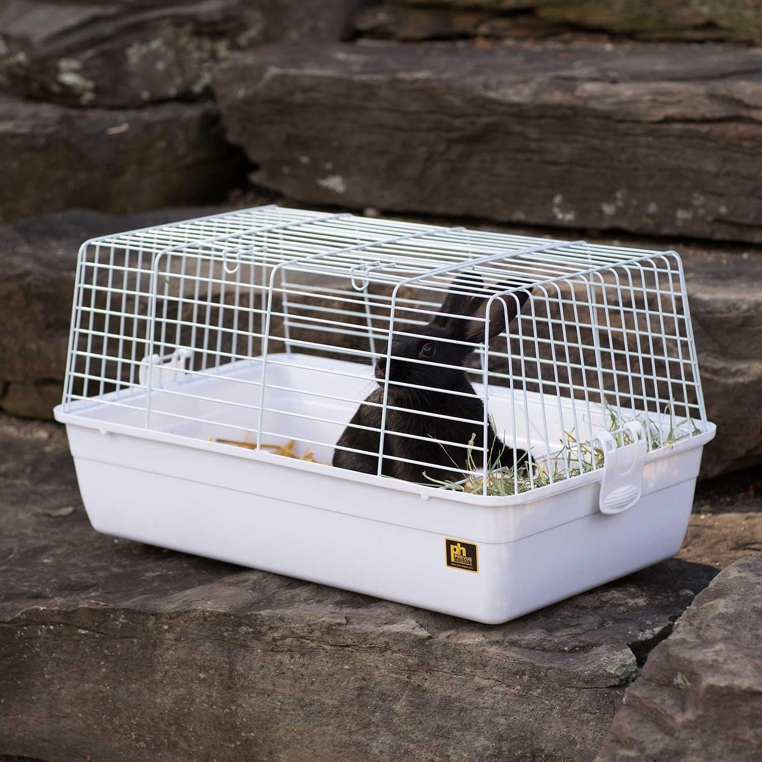 Prevue Pet Products Carina Small Animal Cage - White Prevue Pet Products 