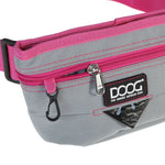 Treat and Training Pouch with Hinge Closure