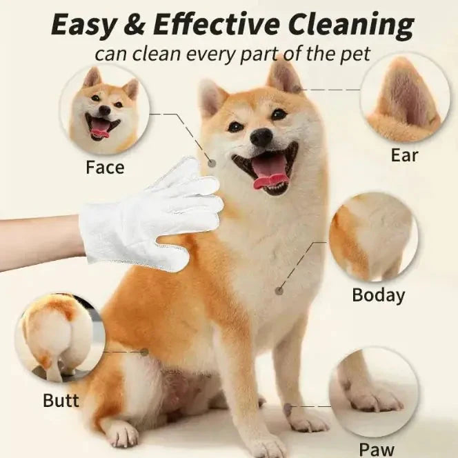 Pet Cleaning Gloves & Wipes InfiniteWags 