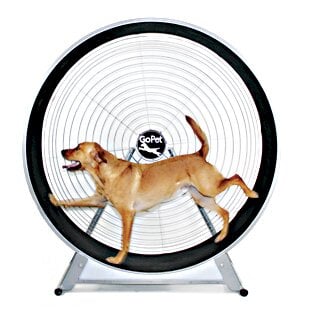 GoPet TreadWheel For Large Dogs GoPet 