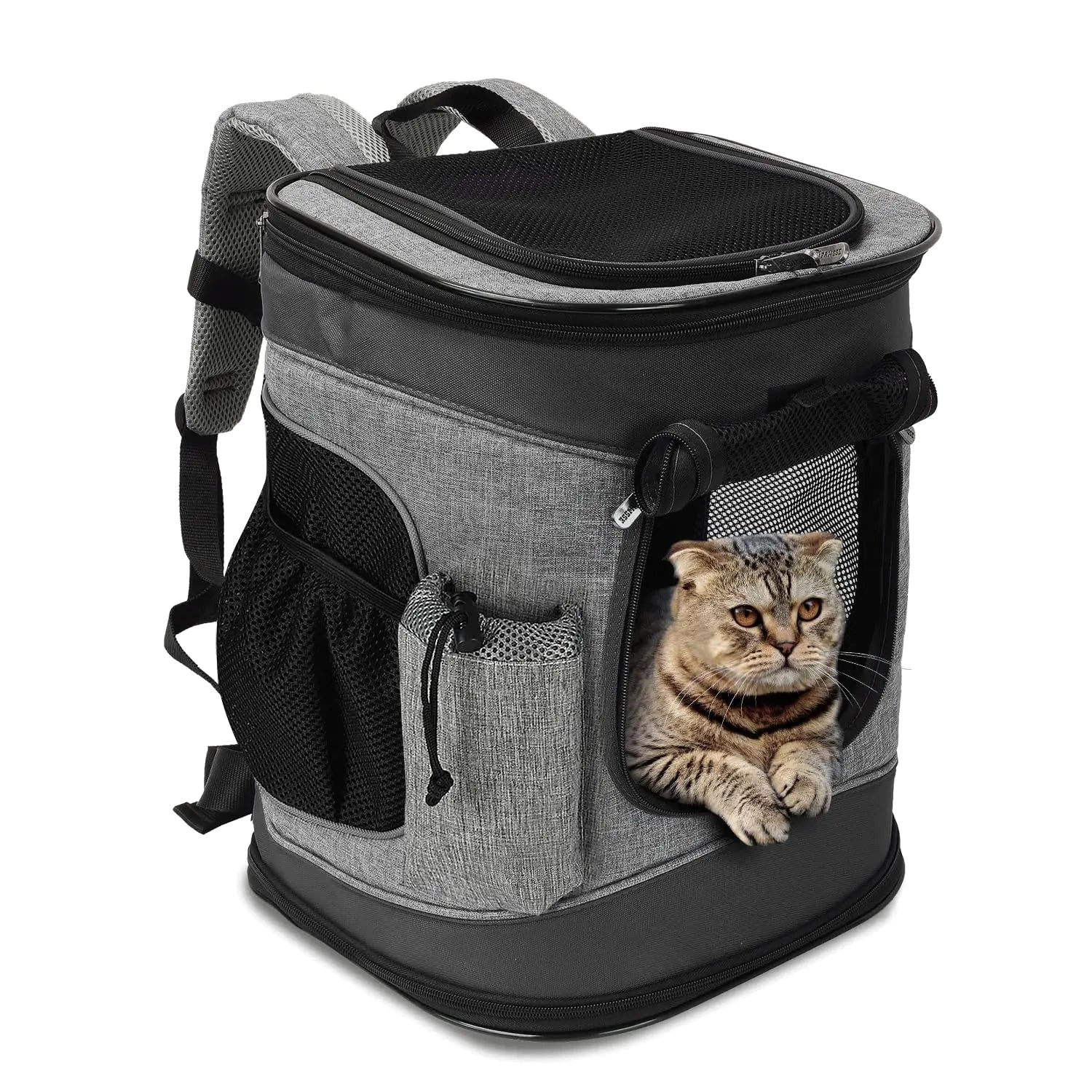 Pet Carrier Backpack for Cats and Dogs InfiniteWags Black 