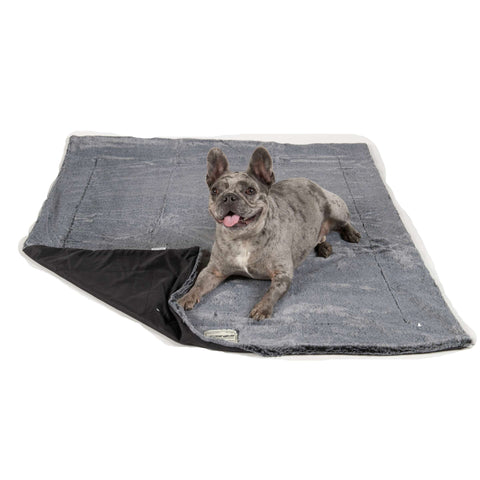 Essential Oils Dog Blanket - Itchy Witchy Essential Oils Blanket Scented DGS Pet Products 