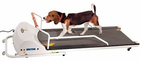 PetRun PR720F Dog Treadmill GoPet 
