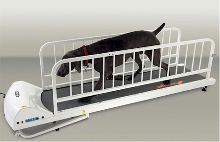 PetRun PR725 Dog Treadmill GoPet 