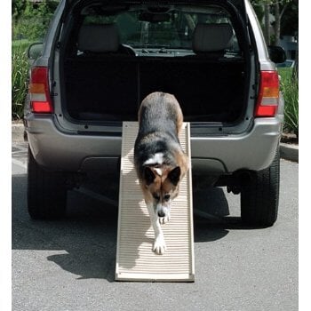 PetStep Folding Dog Ramp PetStep 