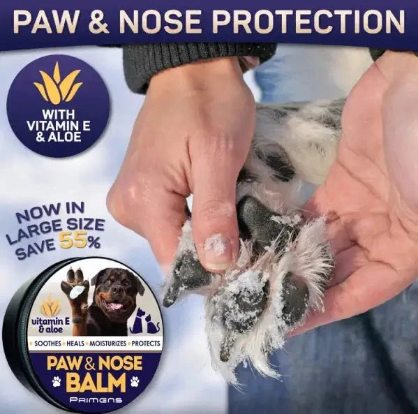 Natural Dog Paw Balm Dog InfiniteWags 