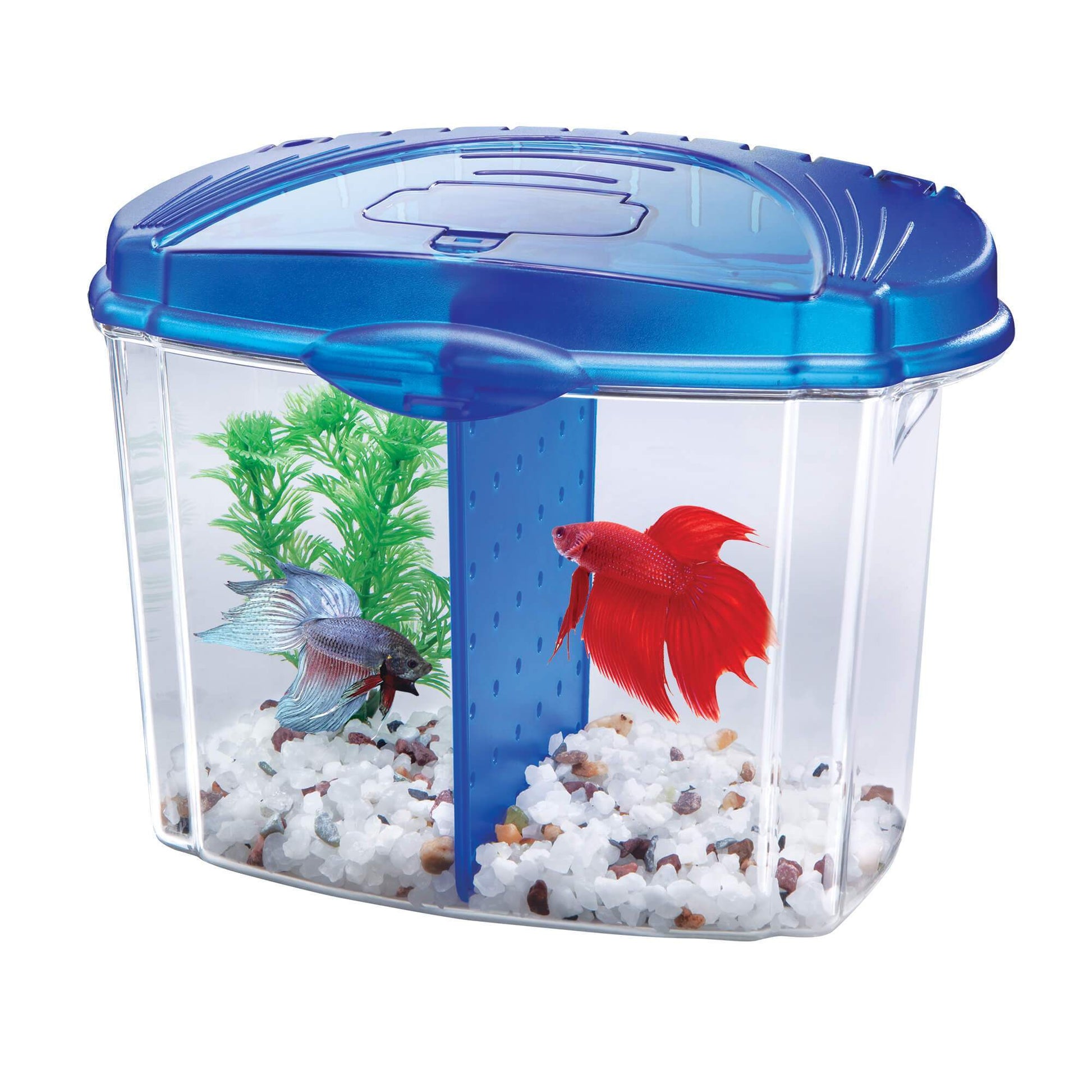 betta fish subscription box Aqueon 0.5-Gallon Betta Bowl Desktop Aquarium Kit