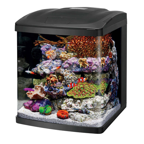 LED BioCube 16 Aquarium Kit Coralife 
