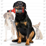 Liquor Bottle Dog Toy - Silly Squeakers® Liquor Bottle - Bad Spaniels Tuffy 
