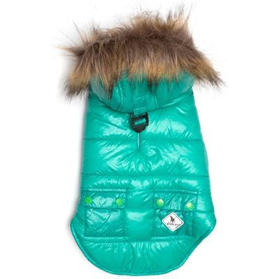 Neon Dog Jacket with Hood - The Worthy Dog Aqua Telluride Puffer Hoodie Dog Sweaters TheWorthyDog 