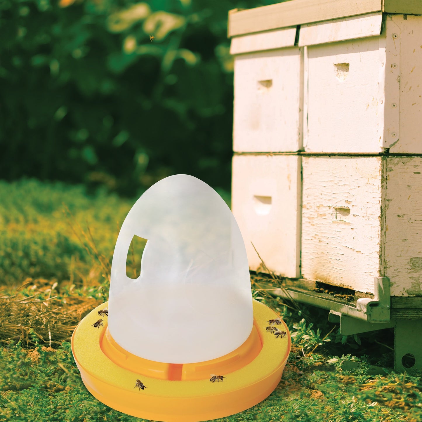 HoneyBee Waterer K&H Pet Products 