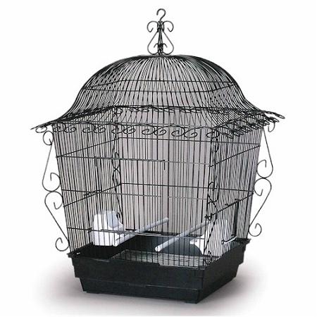 Elegant Scrollwork Bird Cage - Prevue Hendryx Bird Cages Prevue Hendryx Black 