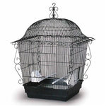 Elegant Scrollwork Bird Cage - Prevue Hendryx Bird Cages Prevue Hendryx 