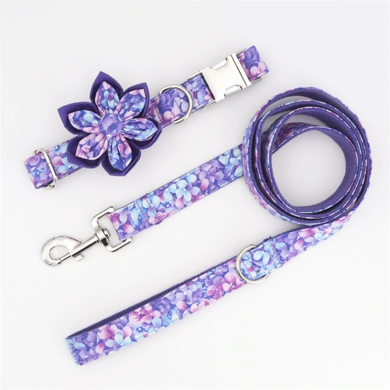 Neon Dreams Collar and Leash Set InfiniteWags 
