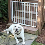 Outdoor Stair Pet Gate - Cardinal Stairway Special Outdoor Pet Gate Pet Gates Cardinal White 