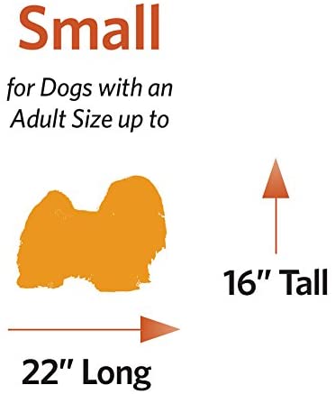 24" Folding Metal Dog Crate for Small Dogs - iCrate Single Door Dog Crate - 24L x 18W x 19H Midwest 